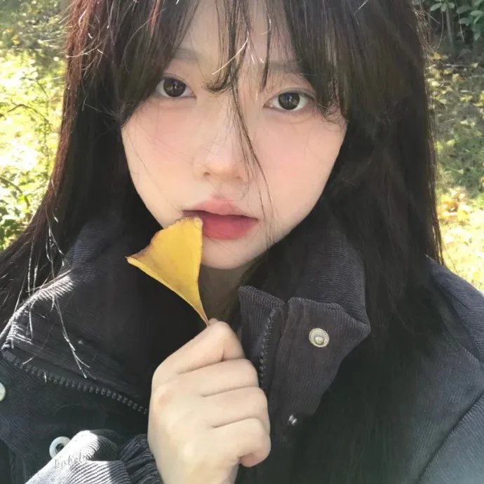 茜茜与我